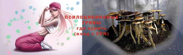 a pvp Верхнеуральск