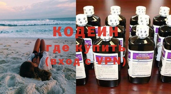 гашик Няндома