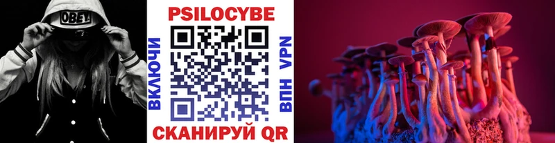 Псилоцибиновые грибы прущие грибы Кемь