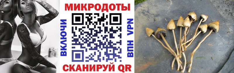 закладки  Кемь  Псилоцибиновые грибы прущие грибы 